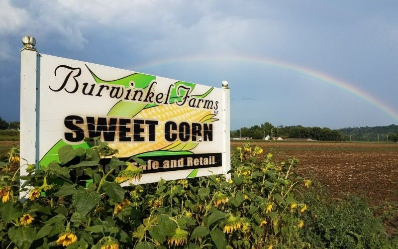 Image file 20170802_1825540-1f5e727d5056a36_1f5e73c5-5056-a36a-09aa4e9514cba7d6.jpg