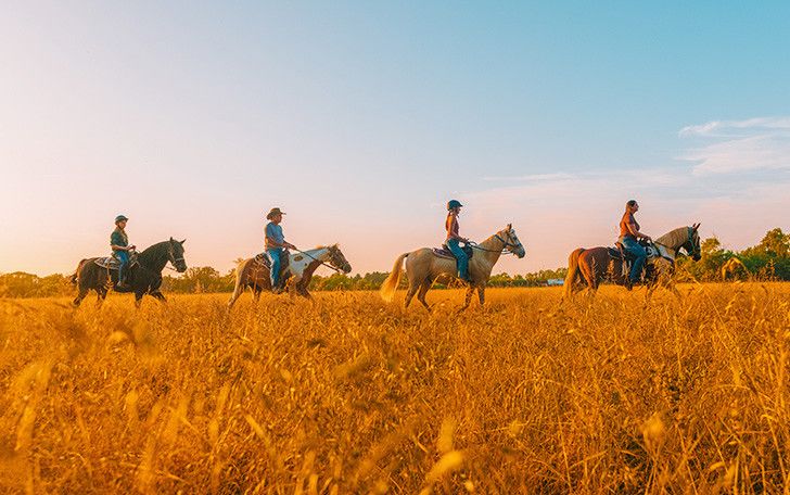 Nation Road Horse Rental